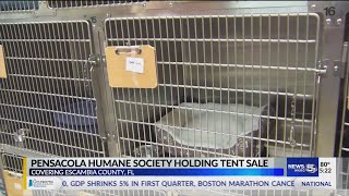 VIDEO: Pensacola Humane Society sale