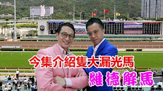 維德解馬 第二五六集  今集介紹隻大漏光馬