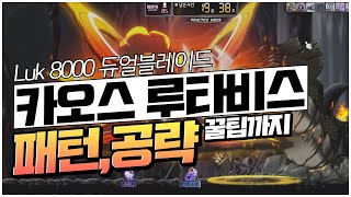 주스탯 8000 듀얼블레이드 3카루타 / 카루타 꿀팁