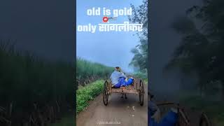 old is gold only sanglikar #sangli #sanglikar #सांगली #सांगलीकर #insta #status#whatsapp #india #song