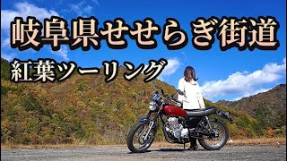 【バイク女子】せせらぎ街道　紅葉ツーリング🏍 #cb400ss #バイク　#バイク女子　#せせらぎ街道  #ツーリング