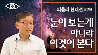 [현대선79] 눈이 보는게 아니라 이것이 본다 / 피올라 현대선 12강 \