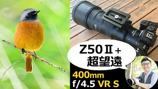 Nikon Z50IIは超望遠レンズが大活躍【NIKKOR Z 400mm f/4.5 VR S】 野鳥や飛行機撮影が軽量コンパクトに持ち出せる魅力を解説。