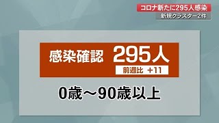 【詳報】新型コロナ　高知で新たに295人の感染確認　医療機関で19人のクラスター【高知】 (22/11/17 18:40)