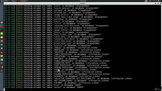 55 Detecting and Exploiting SQL Injection with SQLmap