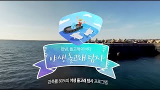 [VR여행] 제주도 돌고래를 볼 수 있다고! 심쿵주의 돌고래 VR영상