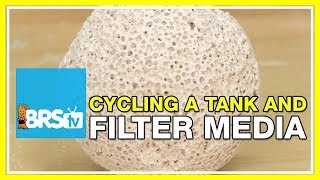 FAQ #39 Should I use filter media while cycling my tank? | 52 FAQ