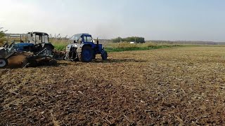 NURSERY PLOWING, CULTIVATION FAILED. MTZ 82 and disk harrow BDN 2.4.