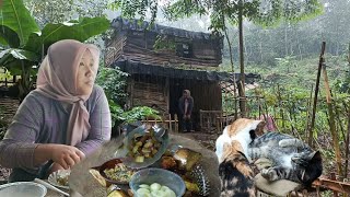 Hidup di desa. Berkebun,makan lauk sayur hasil tanaman sendiri. hidup tenang jauh dari keramaian.