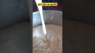 நாட்டு பசு தயிர் | நாட்டு மாடு தயிர் | A2 Curd | Desi Cow Curd | Whatsapp 94 88 90 91 35