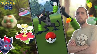 UN ZARUDE À 10€, ÇA VAUT LE COUP ? - ÉTUDE SPÉCIALE \u0026 CHASSE À DOUDOUVET SHINY - Pokémon GO