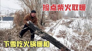 小灰枣适应能力好强，又飘起了小雪，借邻居三轮车捡点柴火取暖 #小院生活 #下雪天 #记录真实生活