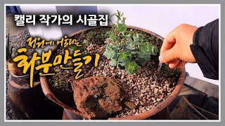 캘리 작가의 시골집 [49] 항아리와 고목과 이끼가 어우러진 시인의 화분