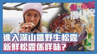 東．南歐潮什麼 | 進入深山搵野生松露，新鮮松露係咩味?