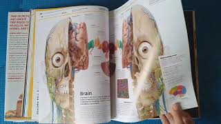 DK Smithsonian Knowledge Encyclopedia Human Body