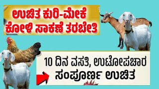 ಉಚಿತ ಮೇಕೆ-ಕುರಿ, ಕೋಳಿ ಸಾಕಣೆ ತರಬೇತಿ | ಉಟೋಪಚಾರ ಸಂಪೂರ್ಣ ಉಚಿತ | Free Sheep-Goat, Poultry Training