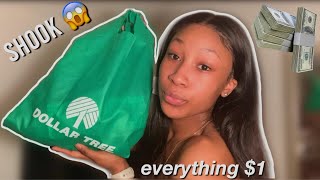 UNDERRATED DOLLAR TREE PRODUCTS YOU NEED IN YOUR LIFE | Everything $1