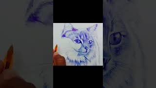 cat realistic drawing | ball pen drawing | cat drawing | motivational art world #shorts