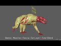 maya animation ziva dynamics muscle system fat simulation