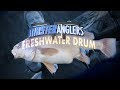 Catching Freshwater Drum [Sheepshead] in the Early Springtime - Vermont Master Anglers