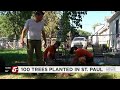 Urban Roots plants over 100 trees to improve St. Paul's tree canopy