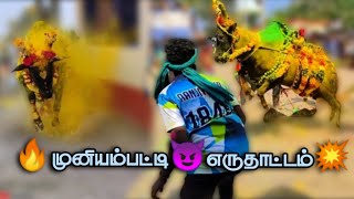 😈முனியம்பட்டி💯 மாபெரும் 💥 எருதாட்டம்💥2024#jallikattu #youtube #eruthattam #eruthattam #song #tamil