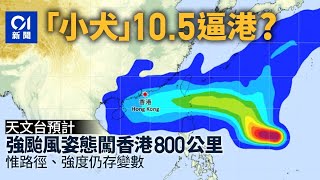 颱風小犬｜天文台料小犬下周四逼港　以強颱風姿態闖800公里範圍 ｜01新聞｜颱風｜打風｜小犬｜天文台｜熱帶風暴