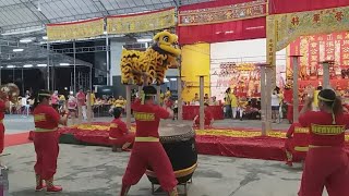 新加坡文扬龙狮运动协会 SG Wen Yang Lion Dance Leaping On High Pole \u0026 Cai Qing Performances at 龍山岩 2/9/18