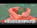 마산 정어리 집단 폐사 원인은 산소부족 질식사 연합뉴스tv yonhapnewstv