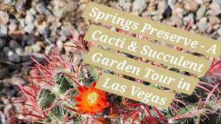 A special Garden Tour of Springs Preserve in Las Vegas.