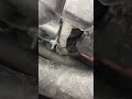 hyundai i30 crank shaft sensor change and location