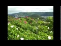 Jenniex House View, Norris Point, NL - July 2015