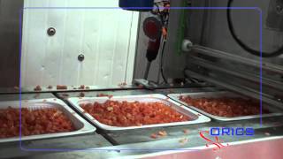 ORICS Diced Tomato tray filling and sealing machine, S-30 Tray Sealer Turnkey System