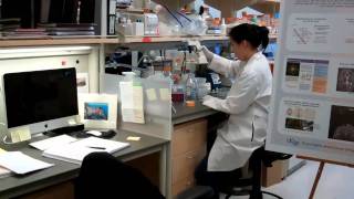 UCSF opens stem cell research building