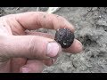 Reforesting the Ranch Part 5: Seed Balls