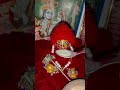 अगर आपके साथ laddu gopal radhe krishna 🙏🙏🌺