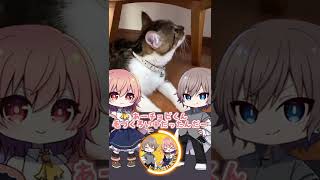 【ゆっくり実況 #Shorts】手を食べてる！？【癒し動画 #猫】