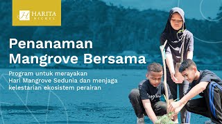 Melestarikan Mangrove, Sang Penjaga Ekosistem