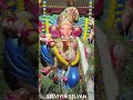 trichy srirangam vinayagar chaturthi celebration 2024 selviyinselvan vinayagar trichy