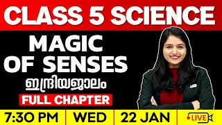 Class 5 Basic science  | Magic of Senses / ഇന്ദ്രിയജാലം | Part 1 | Exam Winner Class 5