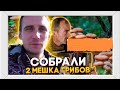 Дом на хуторе / ПОШЛИ В ЛЕС ЗА ГРИБАМИ / НАСОБИРАЛИ 2 МЕШКА / ПРИГОТОВИЛИ УЖИН С БРИГАДОЙ