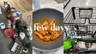 vlog: decorating for Christmas, Publix haul, some cooking + more