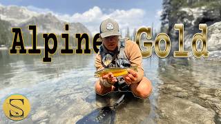 Golden Trout Fishing In A Remote Alpine Lake | Summer Send Ep. 2