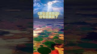 濟公活佛慈語-佔有慾要放下＃shorts #shortvideos  #正能量 ＃心靈雞湯 ＃勵志 ＃慈悲與智慧＃勸世文