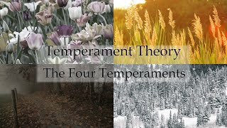 Temperament Theory Part 2: Summer and the Four Temperament
