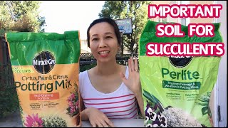 #181 How to mix soil for succulents | 2 Cách trộn đất trồng sen đá | Cuộc Sống Mỹ