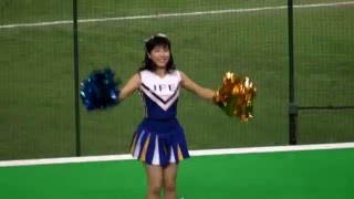 JFE東日本 チアリーダー 都市対抗野球