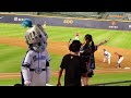 20230905 新莊棒球場 富邦 fubon angels 勁舞團