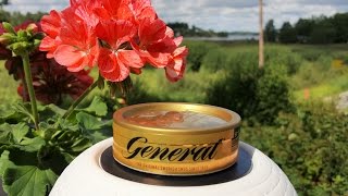 Snus review #100: General Classic Loose