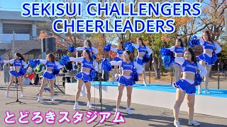 【4K】 SEKISUI CHALLENGERS チアリーダー＠とどろきスタジアム2024